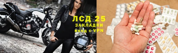 индика Медвежьегорск