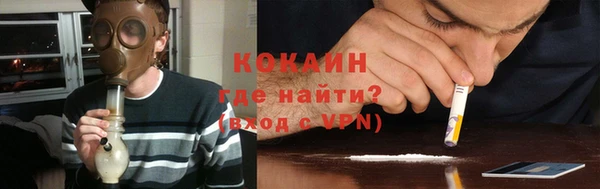 индика Медвежьегорск