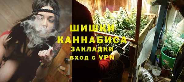 индика Медвежьегорск