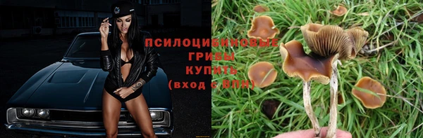 индика Медвежьегорск