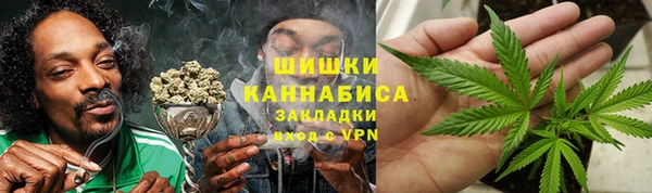 индика Медвежьегорск